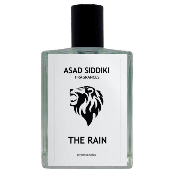 The Rain