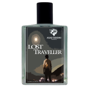 Lost Traveller