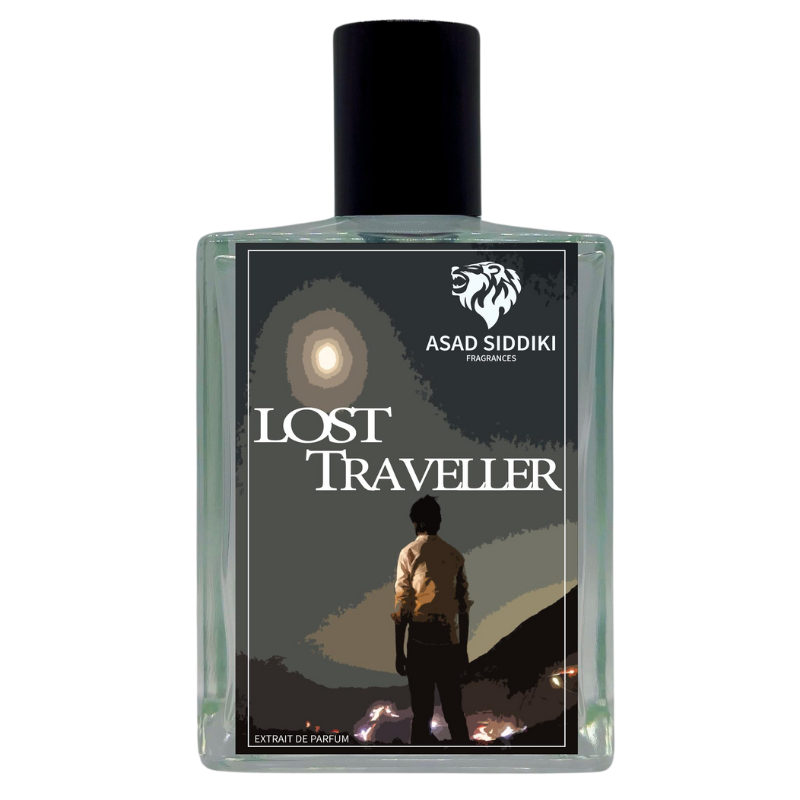 Lost Traveller